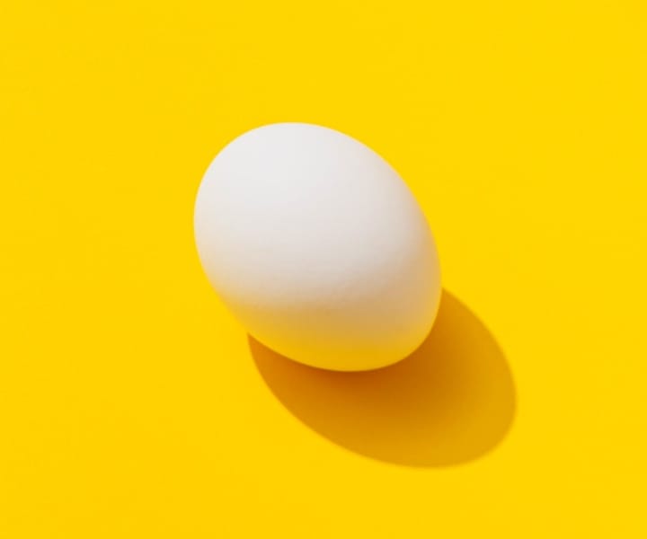 photography of an egg